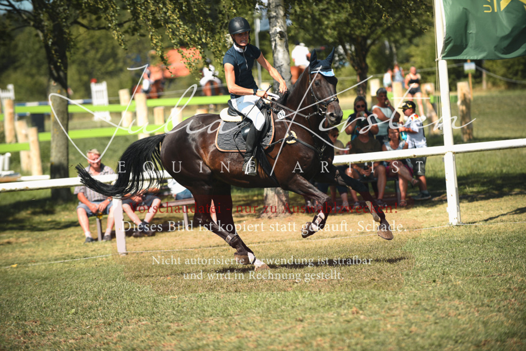 DSC_6923 | Pferde- und Turnierfotografie in Westsachsen. Pferdeportraits, Auftragszeichnungen und intuitive Kunst.