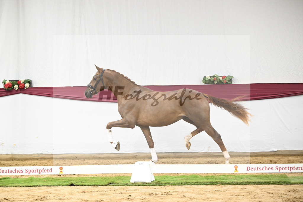 Kat-Nr. 52 Filox x Feinrich_Rothenberger Ventures GmbH_47251947 | hf-fotografie - Realisiert mit Pictrs.com