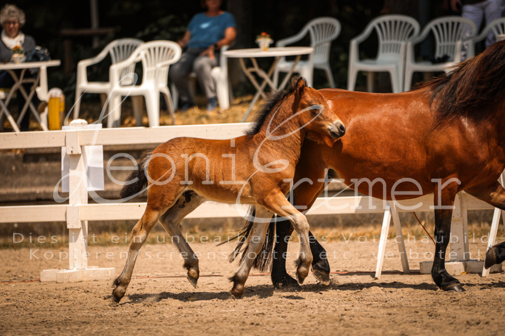02.DoSR00127 | Leoni Ertmer Photography - Realisiert mit Pictrs.com