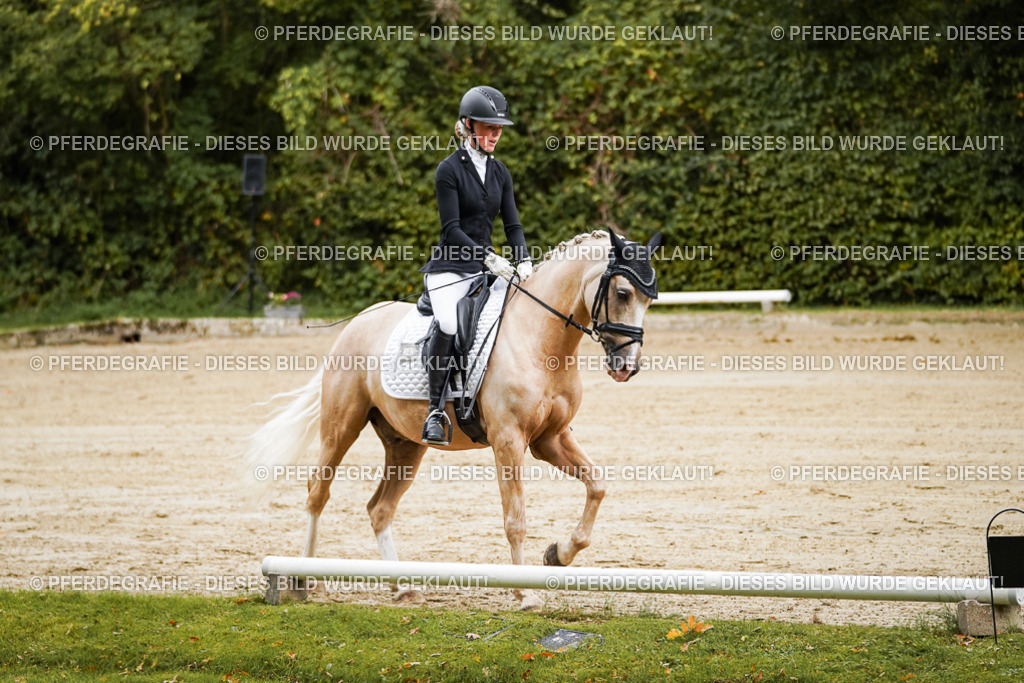 DSC08521 | Pferdegrafie