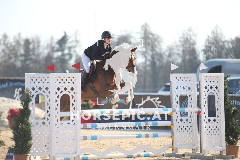 AS8V2606 | Willkommen bei Brunnmayr - Design & Fotografie – Ihrem Spezialisten für Reitturniere und Pferdeveranstaltungen in Oberösterreich, Salzburg und Bayern! Seit über 17 Jahren sind wir leidenschaftlich dabei.