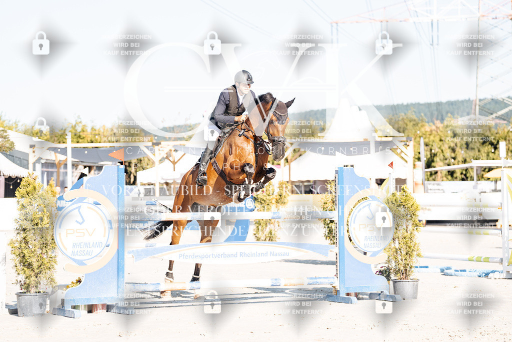 CK904200 | Turnierfotografie Pferdefotografie Trier Rheinland-Pfalz Pferdesport Reitsport Tierfotografie Sportfotografie Pferdevideo Pferdevideografie Equestrianvideography equestrianphotography  - Realisiert mit Pictrs.com