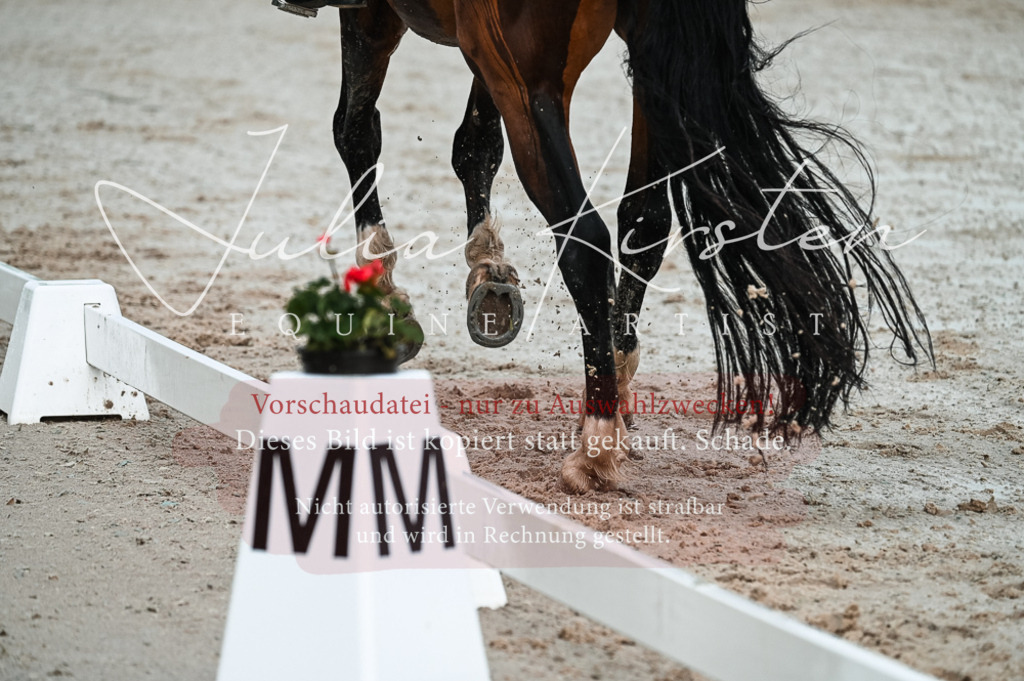 DSC_4180 | Pferde- und Turnierfotografie in Westsachsen. Pferdeportraits, Auftragszeichnungen und intuitive Kunst.