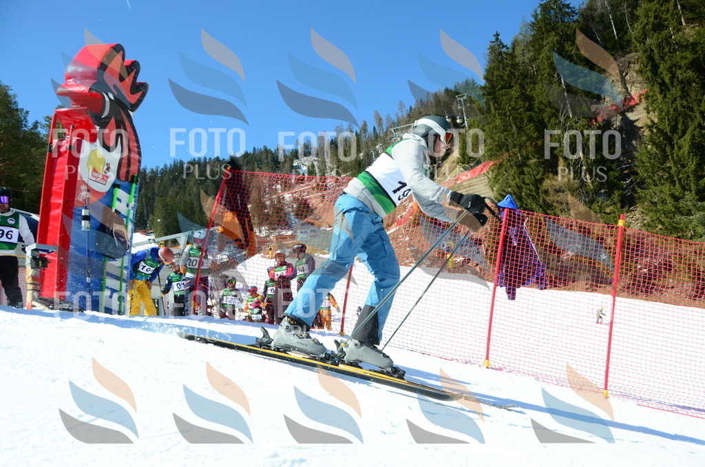 C6556 | holidayphoto