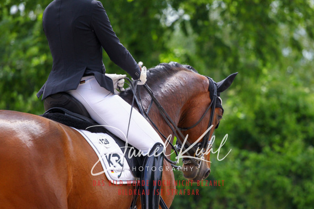 DKP41080 | Turnierfotos kaufen im Webshop von Daniel Kuhl Photography – entdecke professionelle Reitsportfotos aus Turnieren & Events. Hochwertige Turnierbilder online bestellen & sichern. Jetzt Fotos von Reitsportturnieren kaufen!