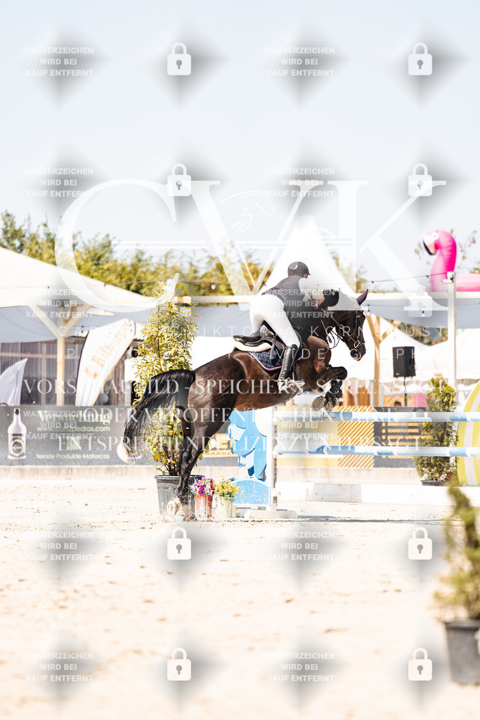 CK909735 | Turnierfotografie Pferdefotografie Trier Rheinland-Pfalz Pferdesport Reitsport Tierfotografie Sportfotografie Pferdevideo Pferdevideografie Equestrianvideography equestrianphotography  - Realisiert mit Pictrs.com