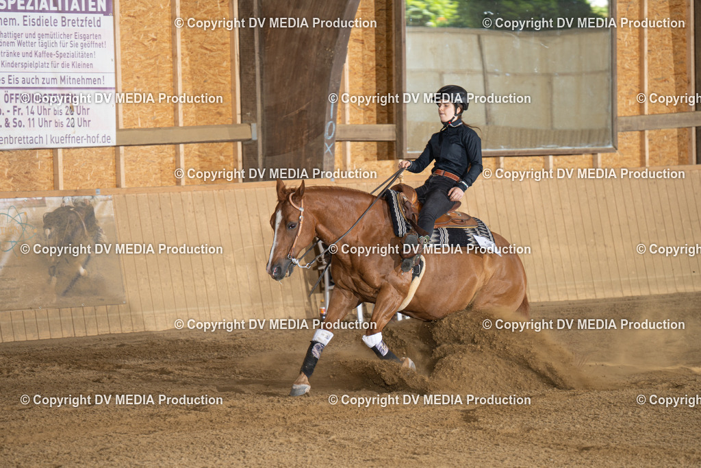 DSC00044 | dv-media-shop - Realisiert mit Pictrs.com