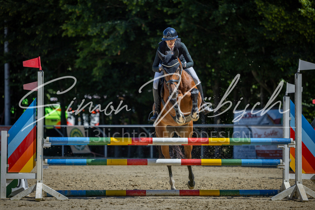 20260704-_3LI7855 | Tierfotografie Pferde, Hunde, Katzen, Haustiere.
Turnierfotografie Reitturniere, Reiten, Springreiten, Dressur in Hanau, dem Main-Kinzig-Kreis und dem Rhein-Main- Gebiet um Frankfurt