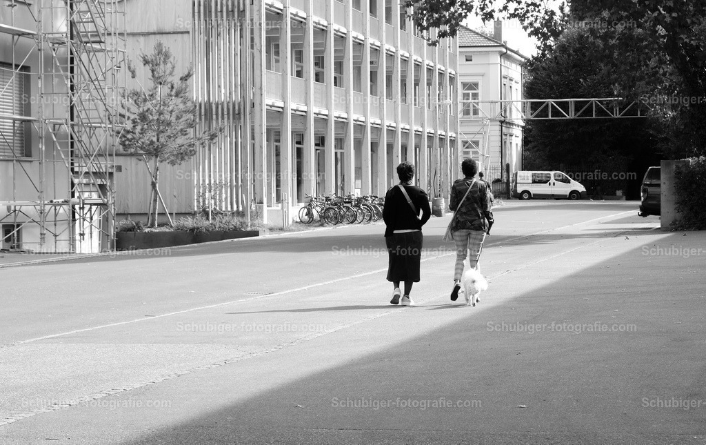 Stadtleben | zwei Frauen mit einem Hund schlendern durch die Strassen - Realisiert mit Pictrs.com