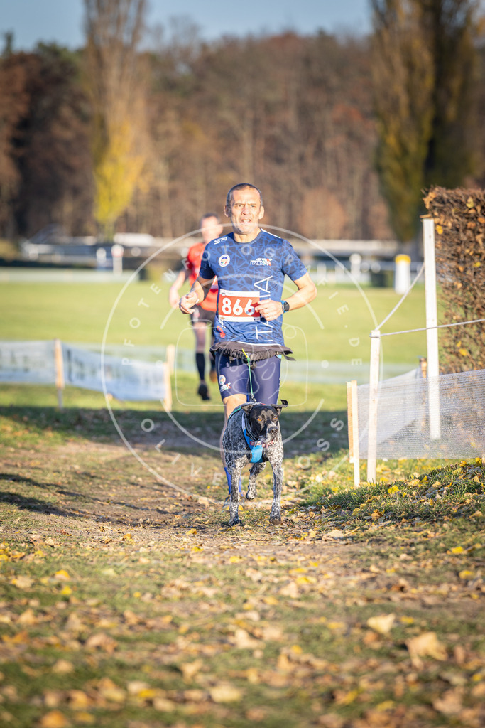 CaniXpix_DV3A4100 | Hundefotografie, Tierfotograf, Pfotenfotografie, Fotoshooting Hund, Hunde Portrait, Hundesport, Hundeportraits, Heideshooting, Hunde, Sportfotograf, Hundefotograf, Turnierhundsport, THS,  - Realisiert mit Pictrs.com