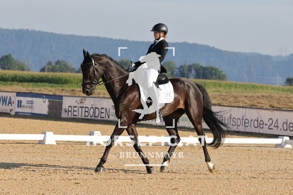 0P6A8403 | Willkommen bei Brunnmayr - Design & Fotografie – Ihrem Spezialisten für Reitturniere und Pferdeveranstaltungen in Oberösterreich, Salzburg und Bayern! Seit über 17 Jahren sind wir leidenschaftlich dabei.