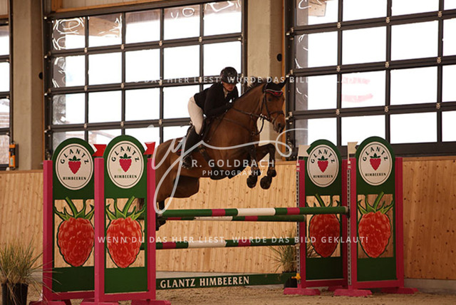 1J2A3355Jasmin Selke-John_ Catharina 16_ Kn094_ Hohen Wieschendorf_ Glantz | Foto- und Videografie für alles rund ums Pferd. Hochwertige Bilder und Videos vom Spring- und Dressurreiten, Voltigieren & mehr. Jetzt aktuelle Veranstaltungen und Preise im Shop ansehen. - Realisiert mit Pictrs.com