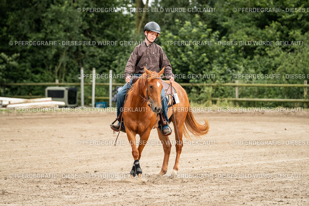 DSC04827 | Pferdegrafie