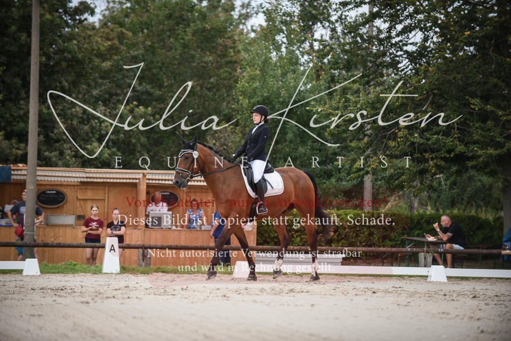 DSC_8089 | Pferde- und Turnierfotografie in Westsachsen. Pferdeportraits, Auftragszeichnungen und intuitive Kunst.