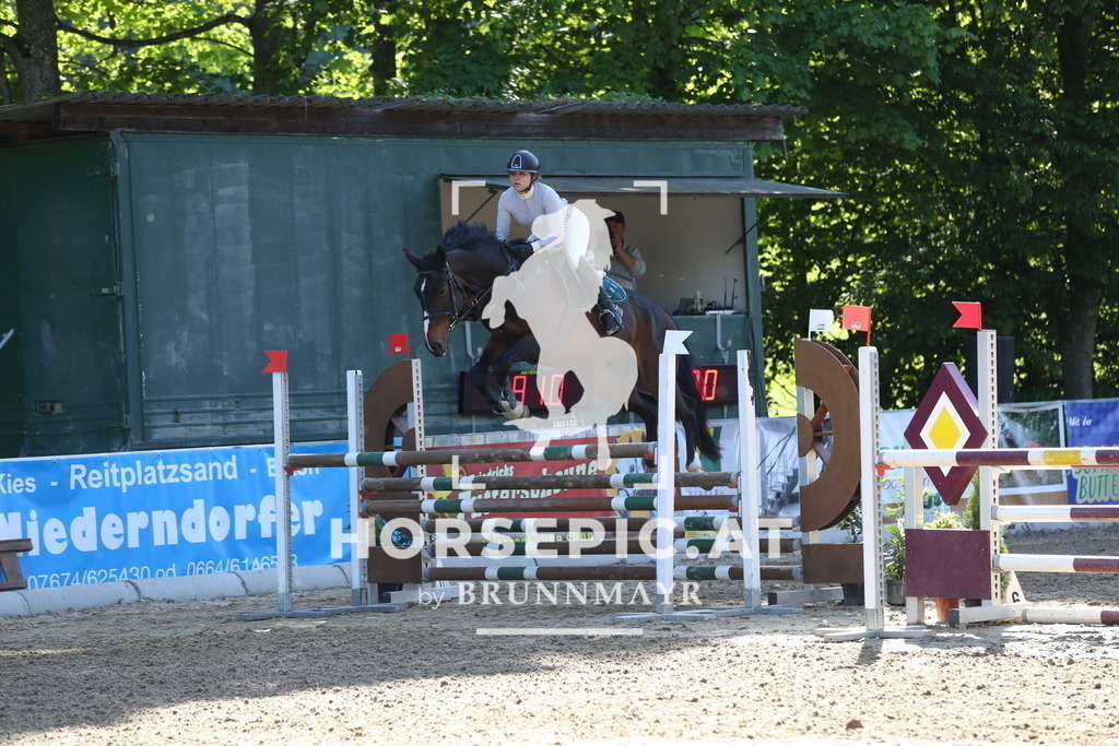 DL2Q2528 | Willkommen bei Brunnmayr - Design & Fotografie – Ihrem Spezialisten für Reitturniere und Pferdeveranstaltungen in Oberösterreich, Salzburg und Bayern! Seit über 17 Jahren sind wir leidenschaftlich dabei.