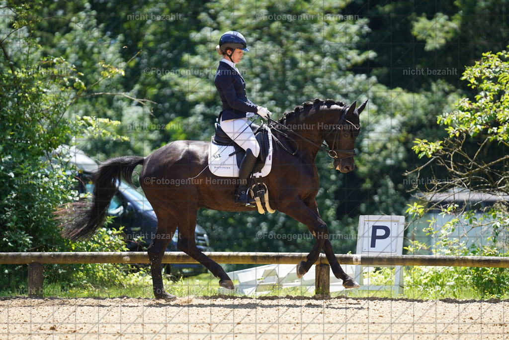 20240705-FAH03747 | Turnierbilder von Grafing, Reitsportbilder, Turnierfotos, Turnierfotografen Bayern, Pferdefotograf, Fotoagentur Herrmann
