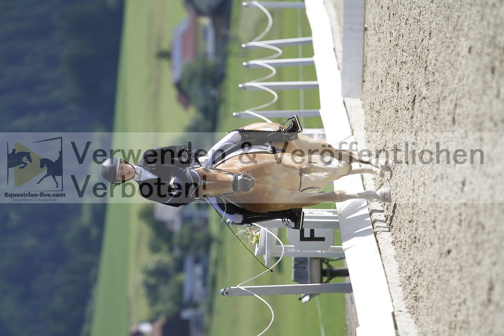_MG_6201 | equestrian-live-com