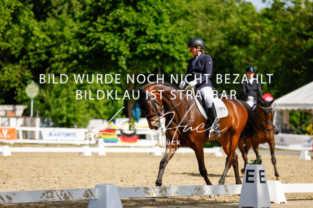 _62_2768 | larahueckfotografie