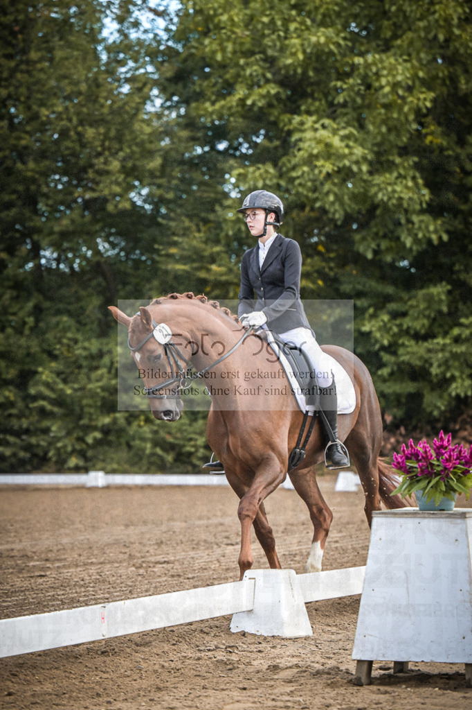 DOS_0148 | Entdecke hochwertige Reitturnierfotos von Foto Oger. Professionell, emotional und authentisch – jetzt Lieblingsmomente im Shop bestellen.Deutschlandweite Turnierfotografie. - Realisiert mit Pictrs.com