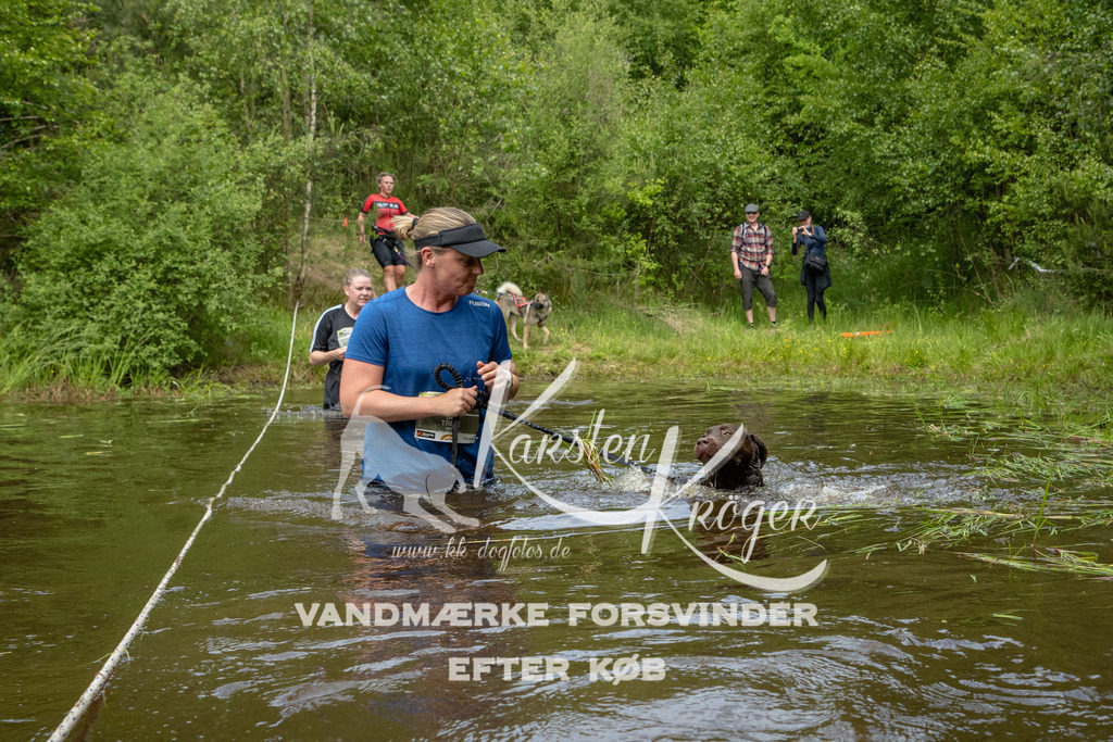 1113DKK994434 | kk-dogfotos
