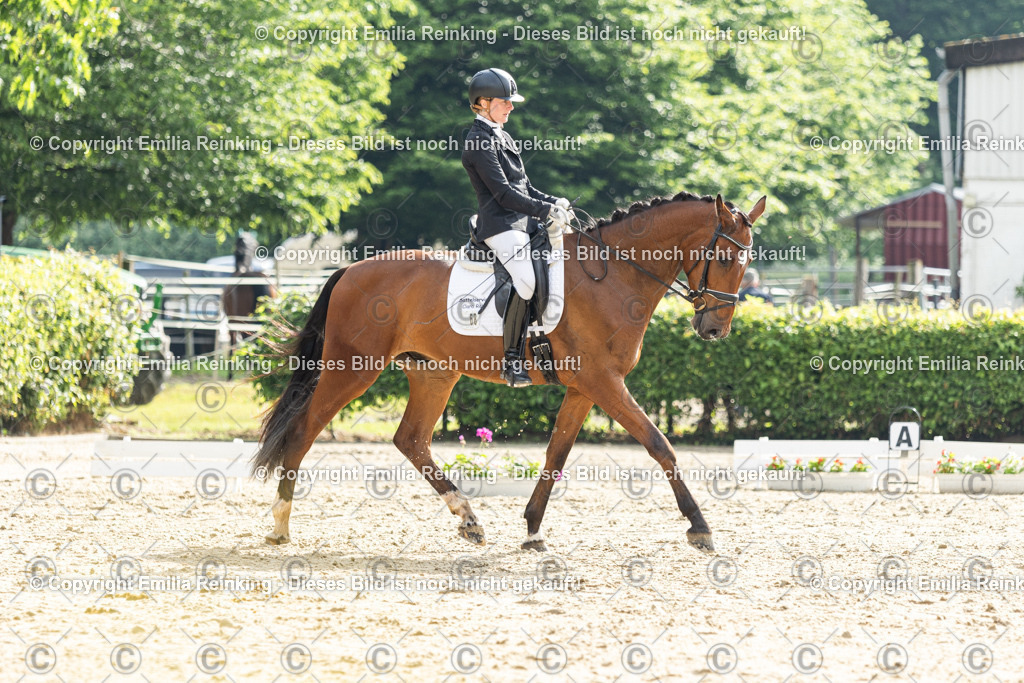 CL5A4333 | Emilia Reinking Fotografie - Realisiert mit Pictrs.com