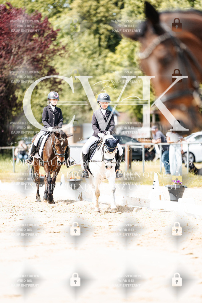 CK901888 | Turnierfotografie Pferdefotografie Trier Rheinland-Pfalz Pferdesport Reitsport Tierfotografie Sportfotografie Pferdevideo Pferdevideografie Equestrianvideography equestrianphotography  - Realisiert mit Pictrs.com