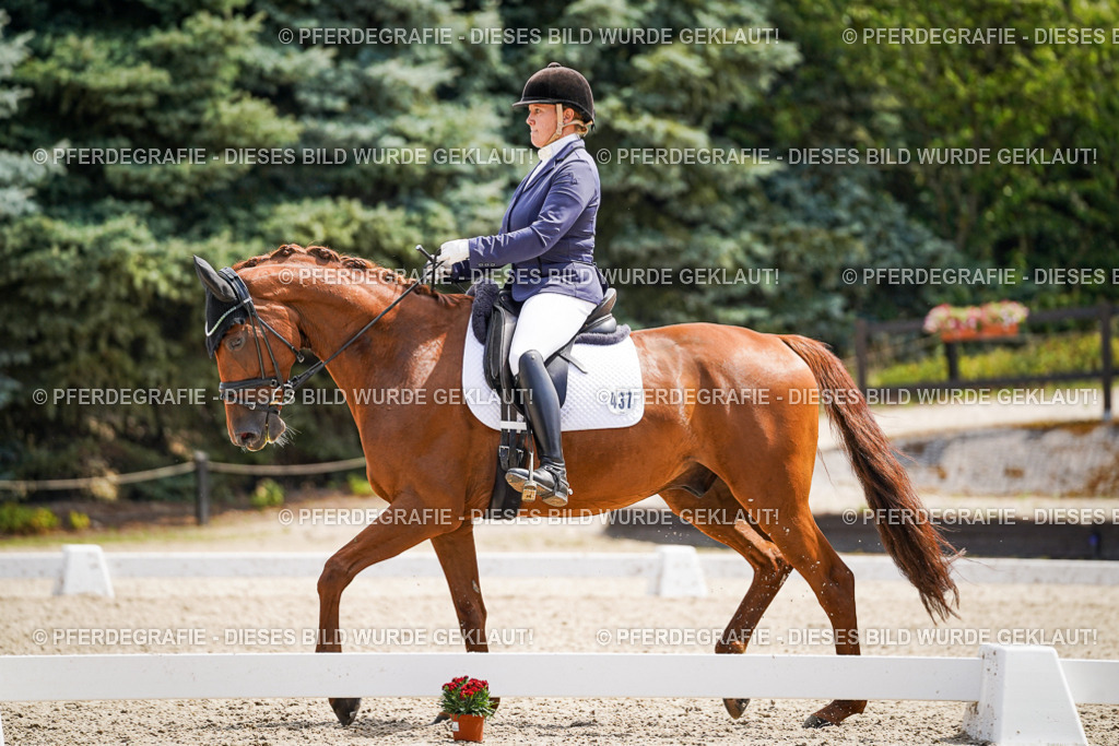 DSC00590 | Pferdegrafie