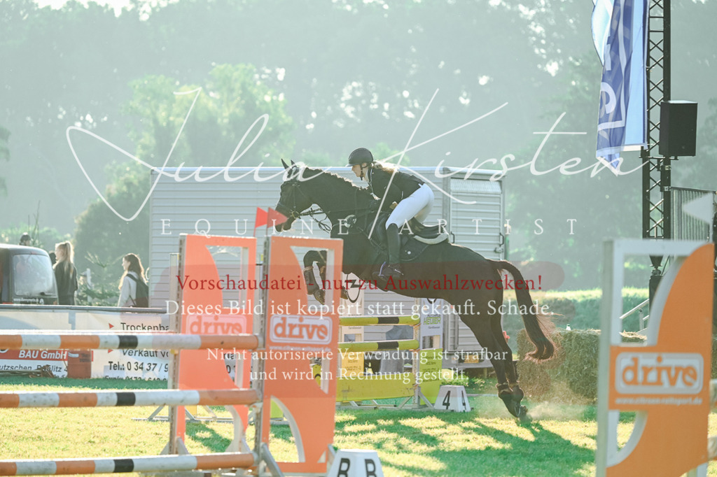 DSC_3861 | Pferde- und Turnierfotografie in Westsachsen. Pferdeportraits, Auftragszeichnungen und intuitive Kunst.