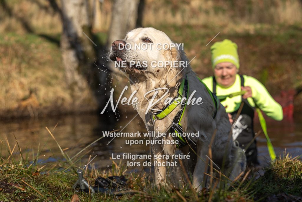 nelerasche_FS0900-1000_215 | nelerasche