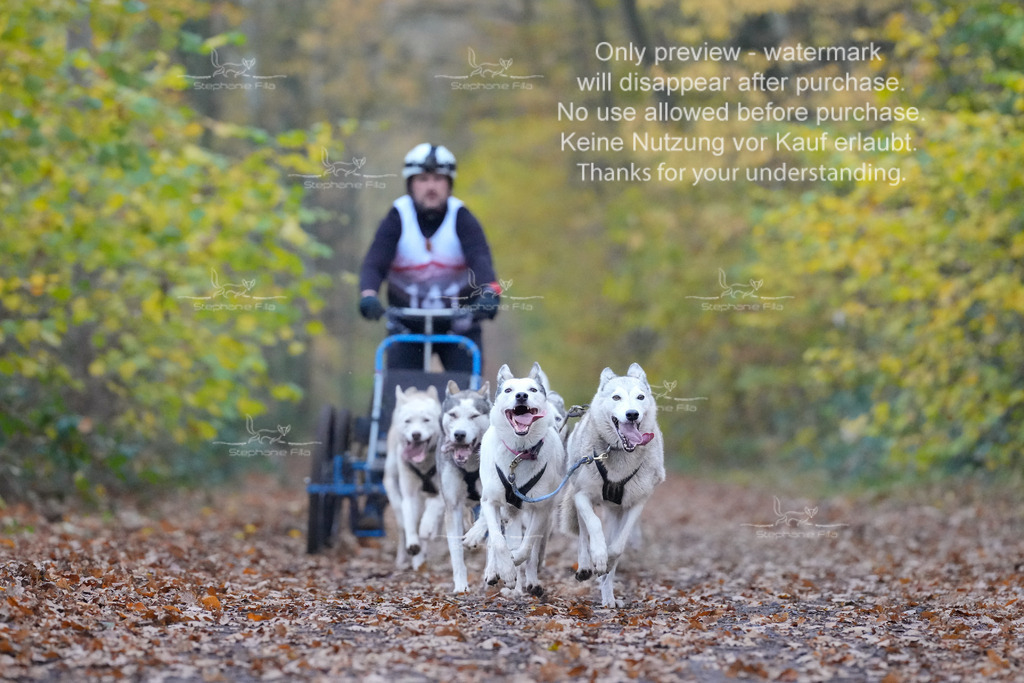 Rigs4bis8So-112 | stephaniefillaphotographie - Realisiert mit Pictrs.com