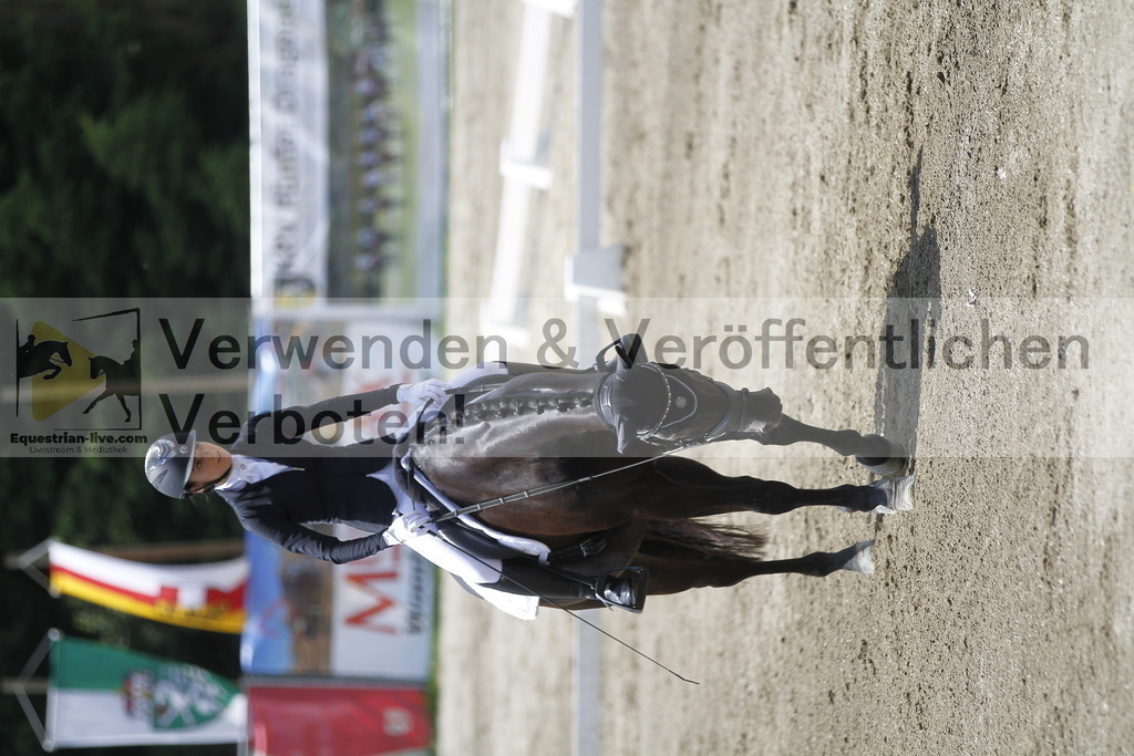 _MG_1342 | equestrian-live-com