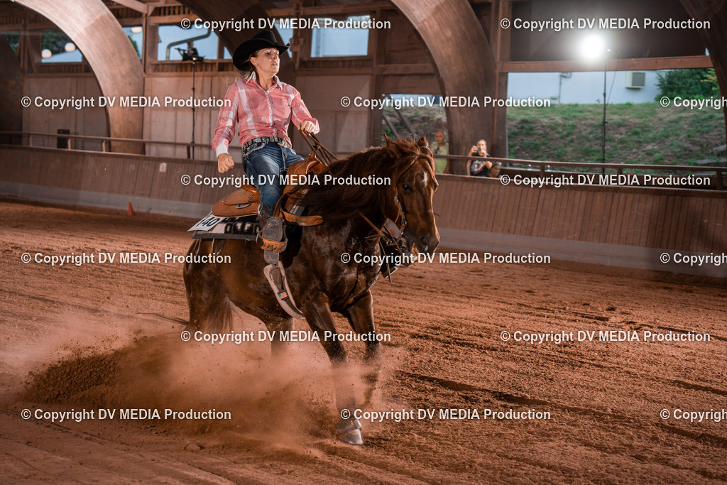 NE201420 | dv-media-shop - Realisiert mit Pictrs.com