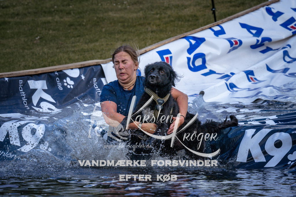 _ZZ920580922 | kk-dogfotos