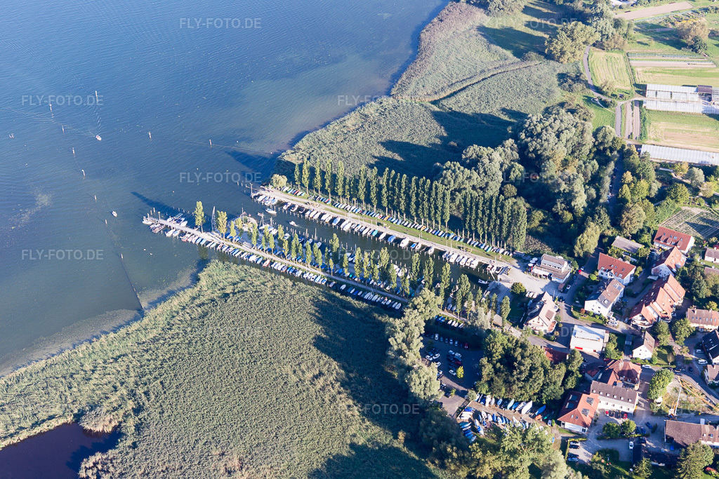 Luftbild: Yachthafen des Segelclub Moos e.V. mit Sportboot- Anlegestellen und Bootsliegeplätzen am Uferbereich des Bodensee in Moos im Bundesland Baden-Württemberg in Deutschland. Foto: IMG_094293.jpg vom 27.08.2016 durch Werner Riehm/FLY-FOTO.de