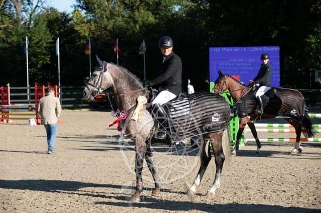 2B4A0137 | pixelfaenger - Realisiert mit Pictrs.com