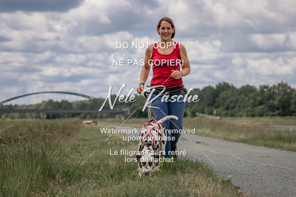 nelerasche_BuHu2026_SaCC1100-1200_77 | nelerasche