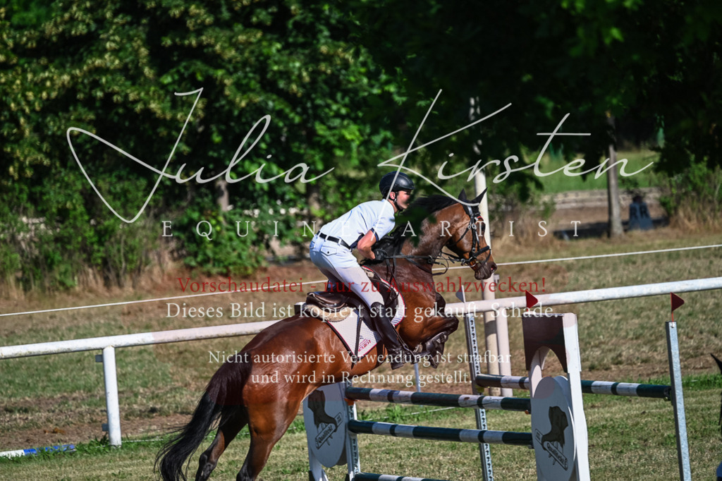 DSC_2524 | Pferde- und Turnierfotografie in Westsachsen. Pferdeportraits, Auftragszeichnungen und intuitive Kunst.