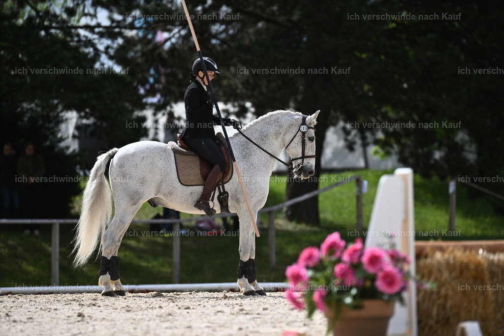PI26_ST_Sara_Landvogt226_2334.JPG | working equitationturnier fotograf videograf stoibphotography marixx film working equitation deutschland reitsport turnierfotografie eventfotografie equestrian events