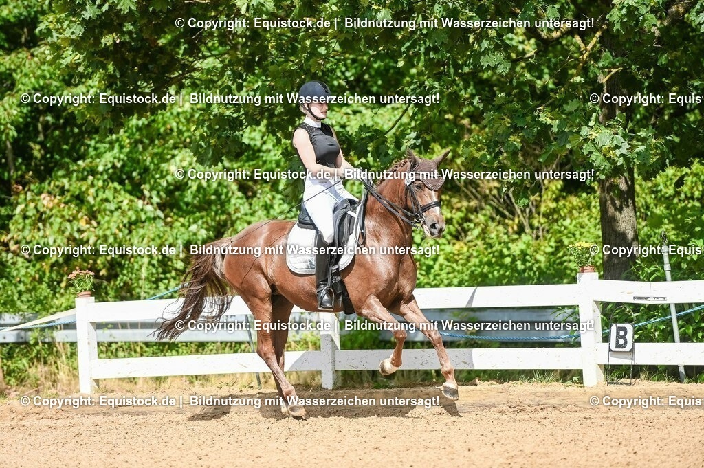 20230716_01_Dressurprüfung Kl.M_0342 | equistock