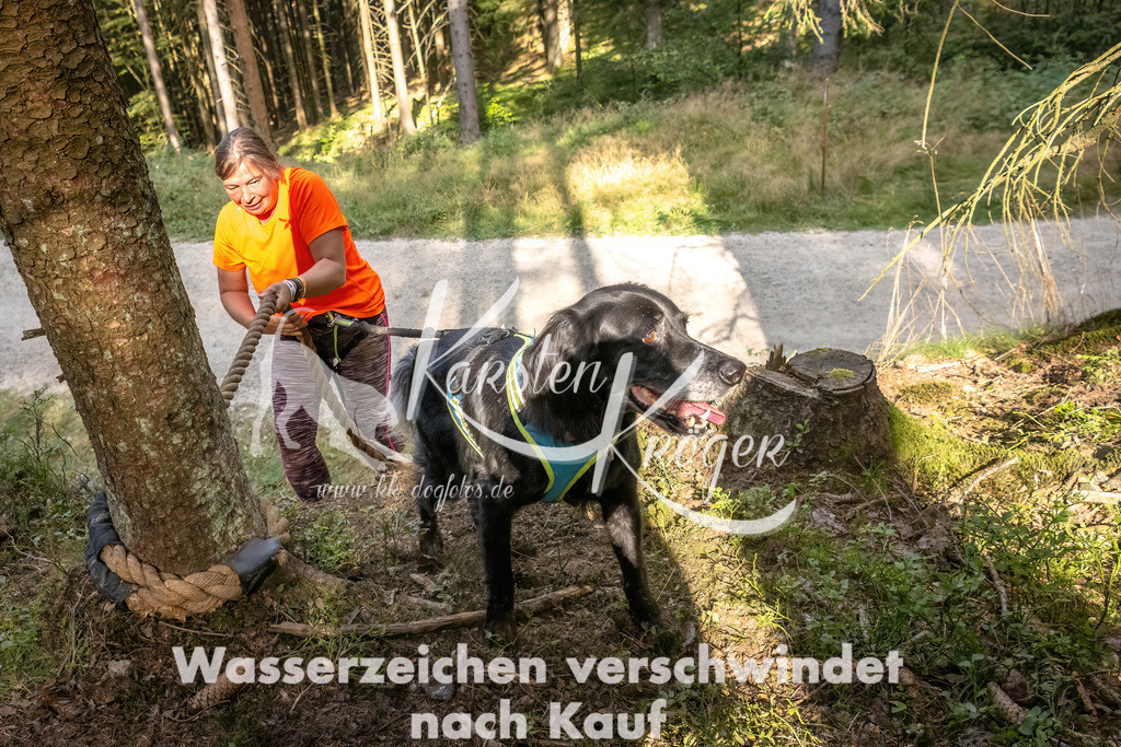 1039_ZZ92140 | kk-dogfotos