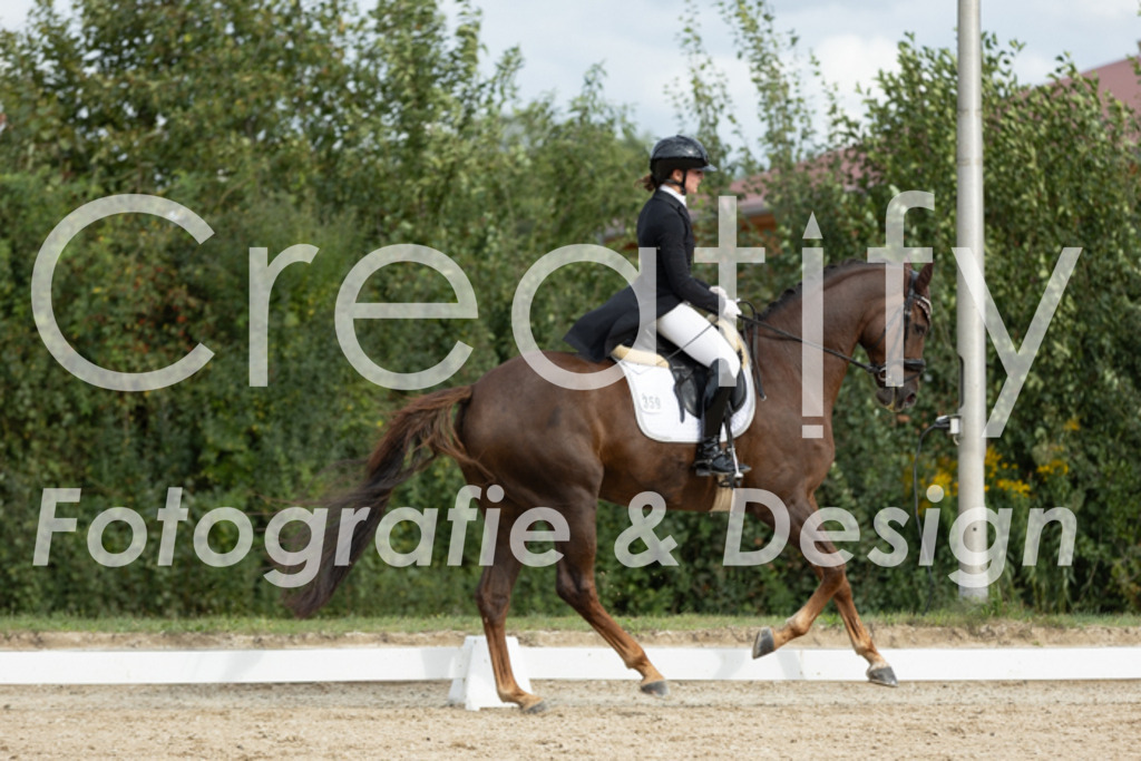 IMG_6917 | Creatify Fotografie