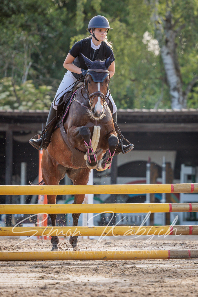 20260529-_3LI1212 | Tierfotografie Pferde, Hunde, Katzen, Haustiere.
Turnierfotografie Reitturniere, Reiten, Springreiten, Dressur in Hanau, dem Main-Kinzig-Kreis und dem Rhein-Main- Gebiet um Frankfurt