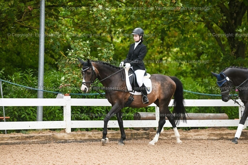 20230716_10-1_Reiter-WB Schritt - Trab - Galopp_0003 | equistock