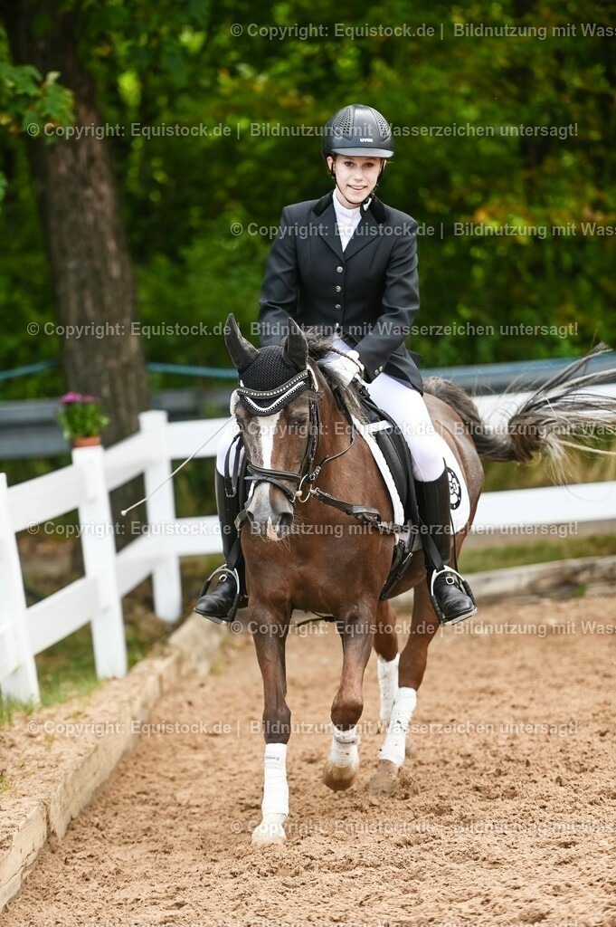20230716_10-2_Reiter-WB Schritt - Trab - Galopp_0092 | equistock