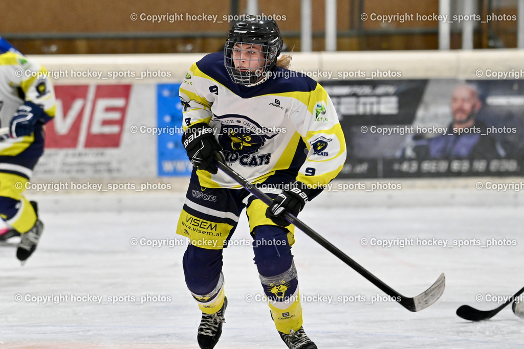 Wildcats Paternion vs. Lady Hawks  | #9 Neumann Magdalena WILDCATS PATERNION, Wildcats Paternion vs. Lady Hawks , Wildcats Paternion vs. Lady Hawks  am 27.01.2025 in Spittal an der Drau (Eissportzentrum Spittal), Austria, (Photo by Bernd Stefan)