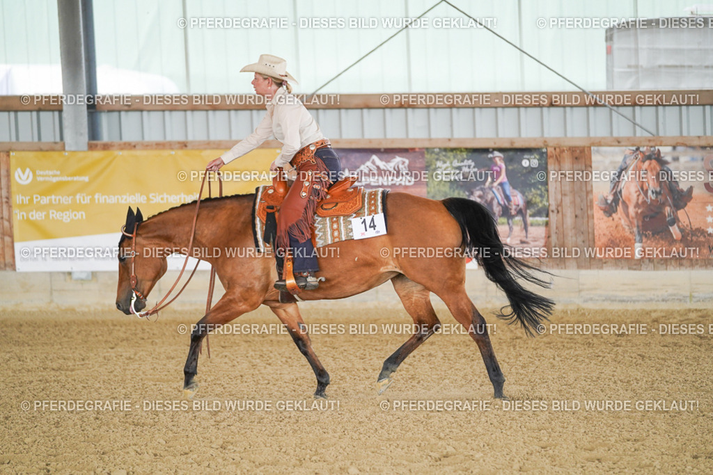 DSC03100 | Pferdegrafie