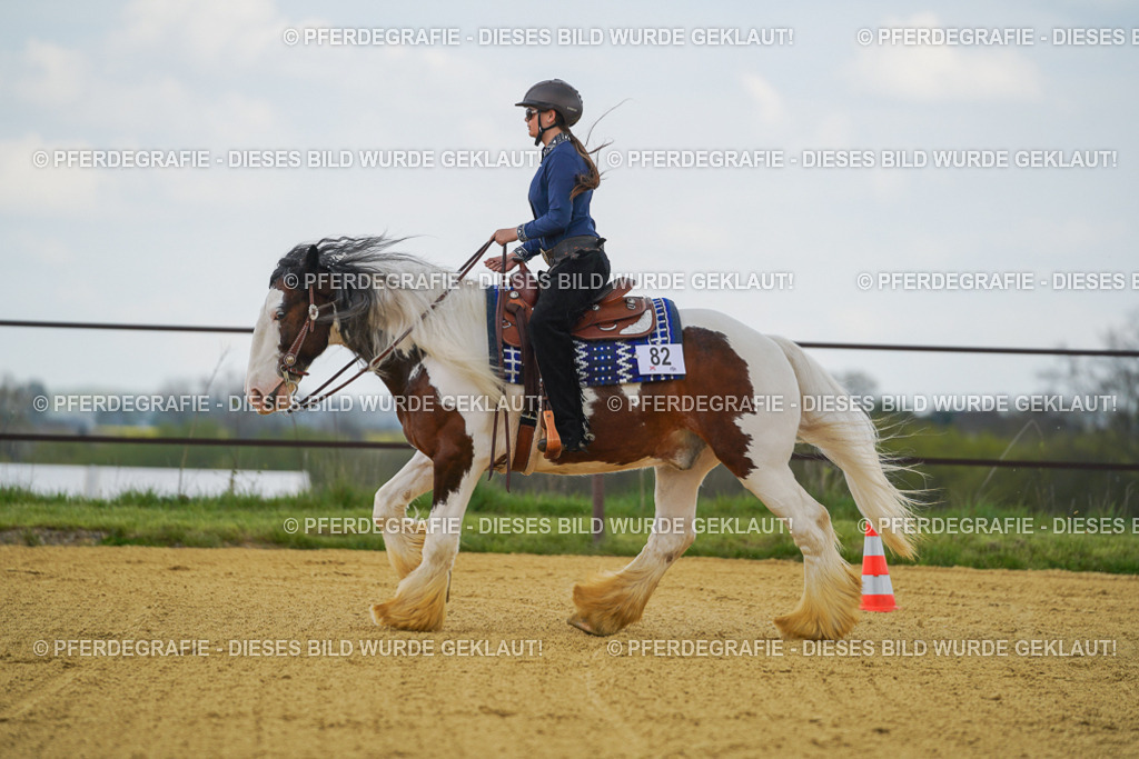 DSC06003 | Pferdegrafie