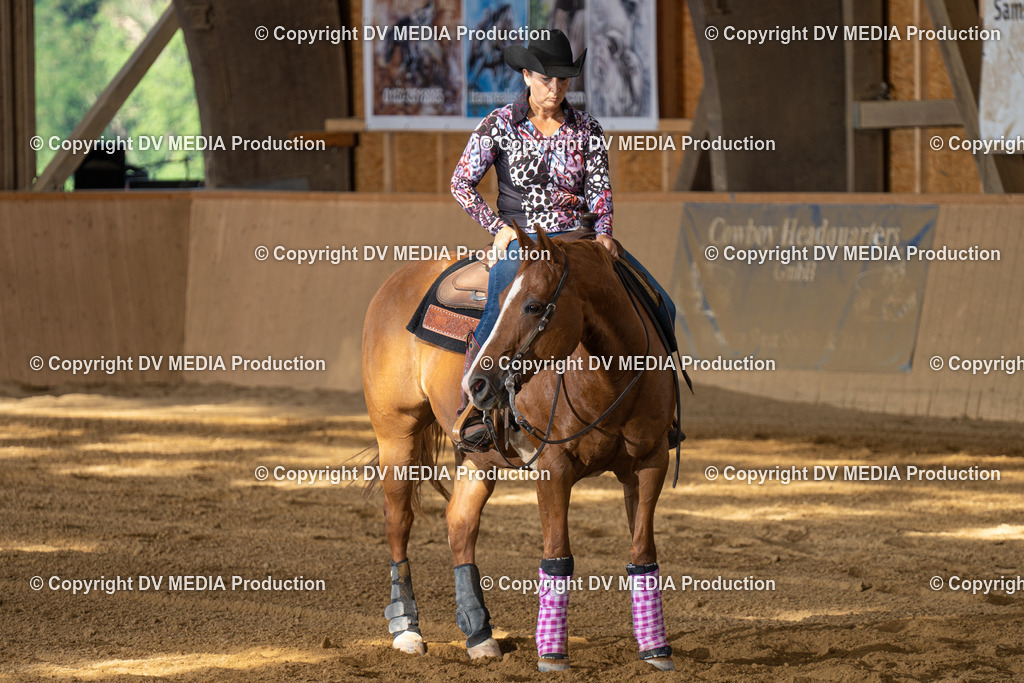 DSC00522 | dv-media-shop - Realisiert mit Pictrs.com