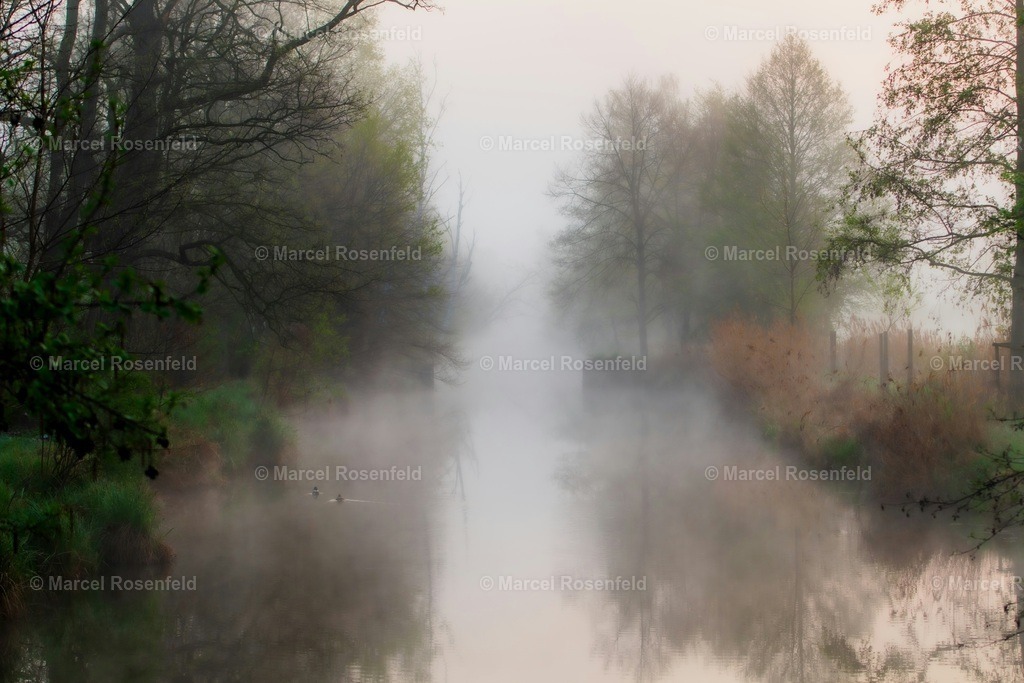 _DSC2999 | foto-rosenfeld