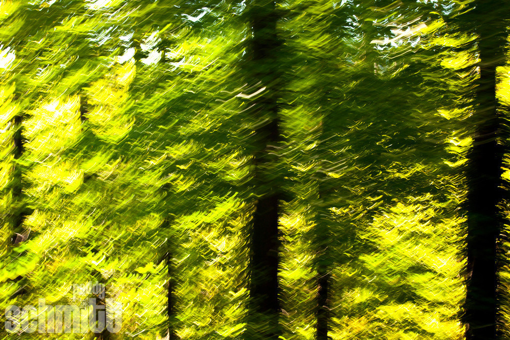 PS-Blur-2026-24 | Entdecke die größte Bildgalerie der Region mit Fotografien aus dem Allgäu, der Bodenseeregion, Oberschwaben, dem Donautal und der Schwäbischen Alb. Landschaften, Luftaufnahmen und Reisefotografie als Wandbild und Fotokunst. - Realisiert mit Pictrs.com